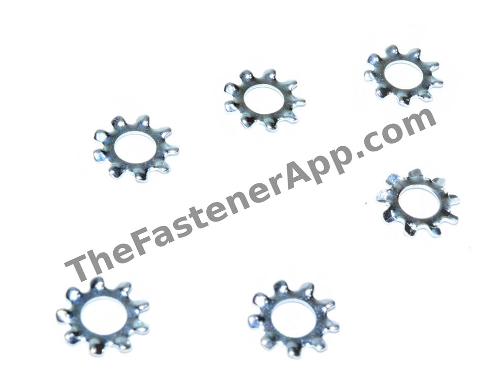 External Tooth Lock Washers