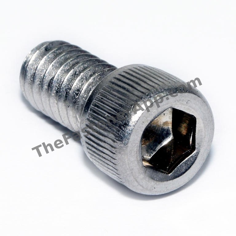 18-8 SS SOC CAP SCREW 1/4-20X5/8