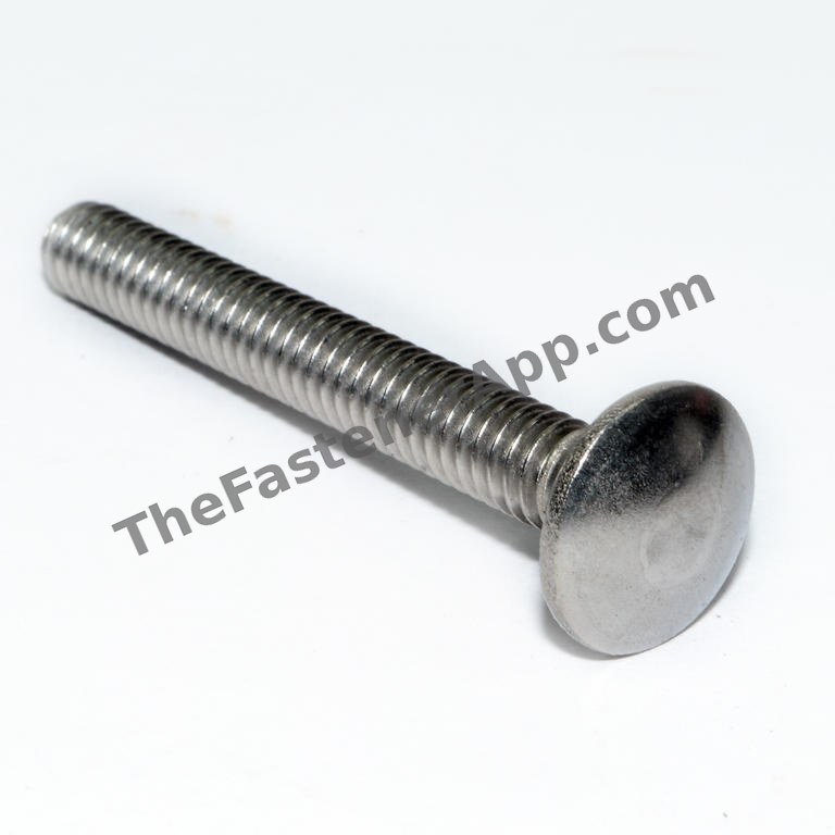 18-8 SS CARRIAGE BOLT 1/4-20X2