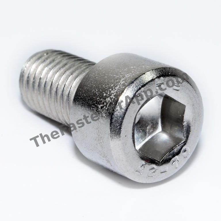 304 SS MET SOCKET CAP SCREW M10X1.5PX20MM