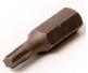 Torx Bits
